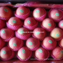 High Quality Carton Packing Chinese Fresh Qinguan Apple